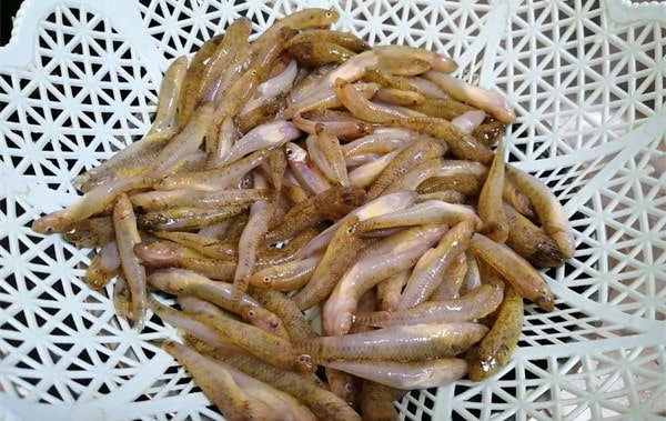 空气炸锅食谱酥脆炸小河鱼