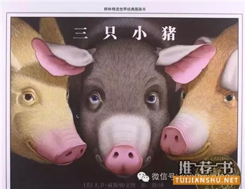 16本国内外孩子最常读的书(4-7岁左右）