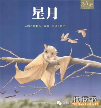 16本国内外孩子最常读的书(4-7岁左右）