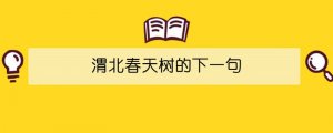 渭北春天树的下一句