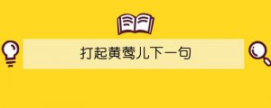 打起黄莺儿下一句