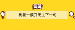 桃花一簇开无主下一句