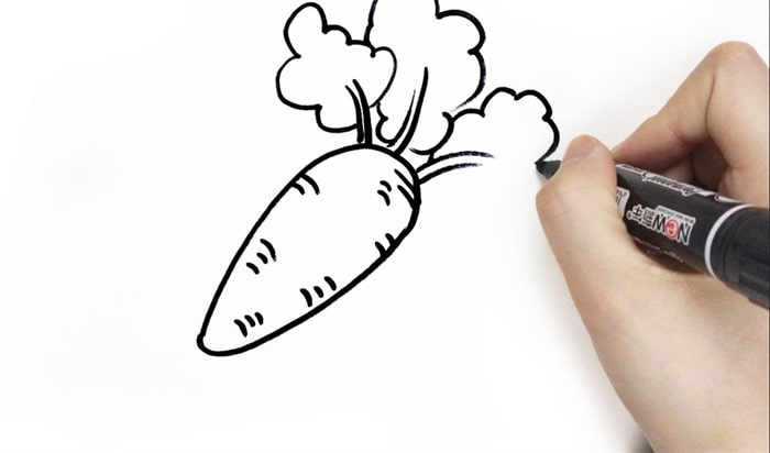 一堆胡萝卜儿童简笔画步骤图片