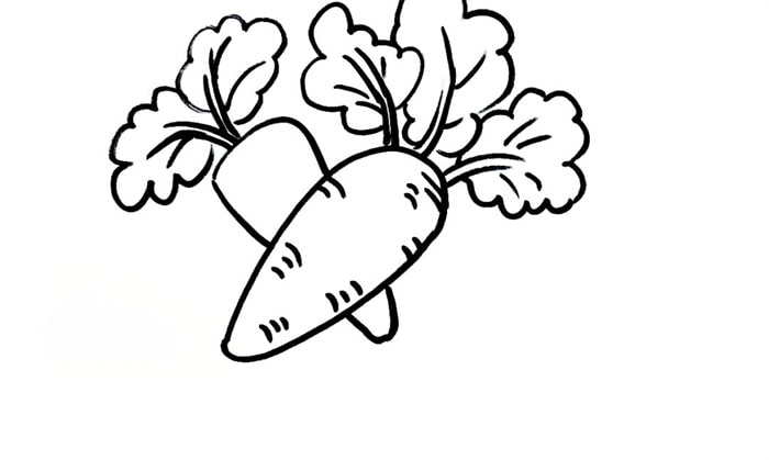 一堆胡萝卜儿童简笔画步骤图片