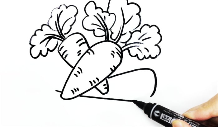 一堆胡萝卜儿童简笔画步骤图片