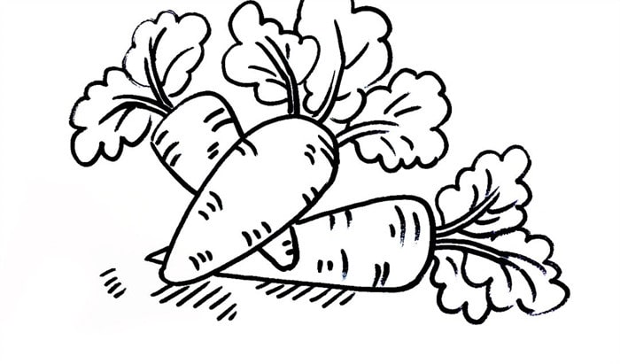 一堆胡萝卜儿童简笔画步骤图片