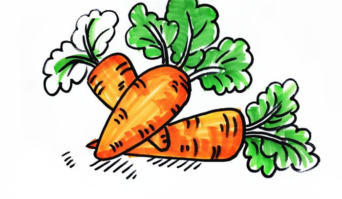 一堆胡萝卜儿童简笔画步骤图片
