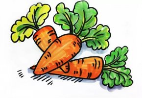 一堆胡萝卜儿童简笔画步骤图片