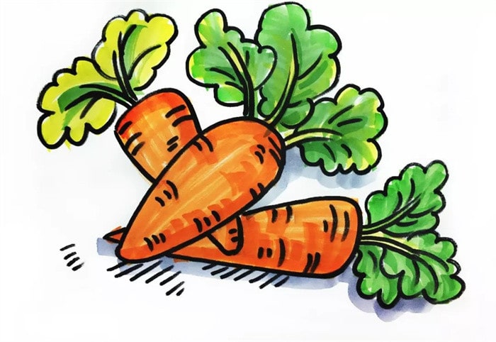 一堆胡萝卜儿童简笔画步骤图片