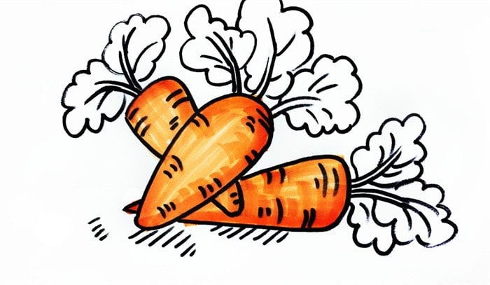 一堆胡萝卜儿童简笔画步骤图片