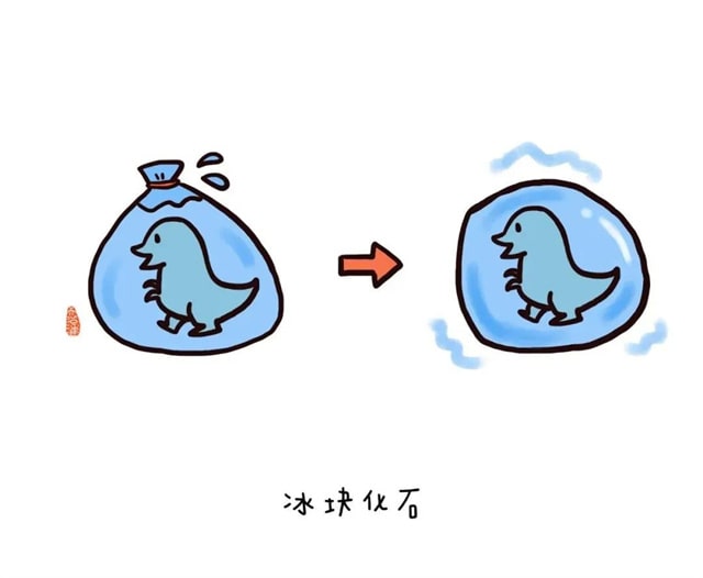 幼儿园小朋友的15个夏季户外小游戏