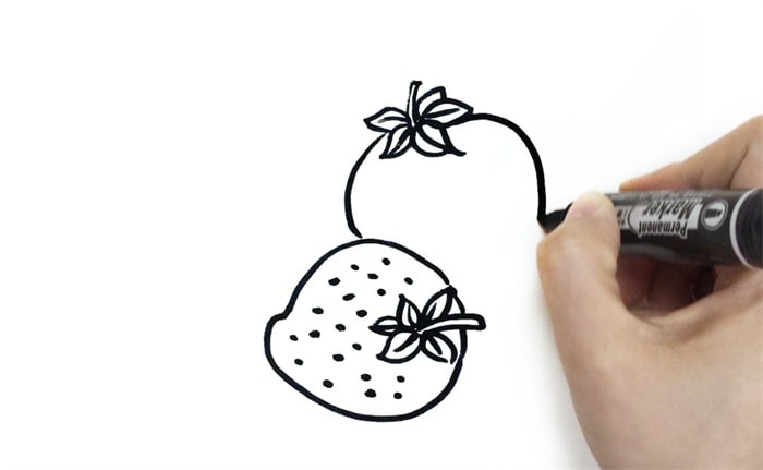 水果草莓简笔画图片教程