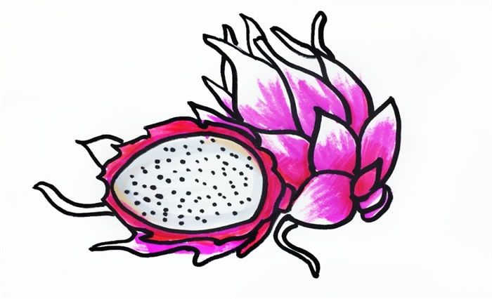 水果火龙果儿童简笔画教程图片