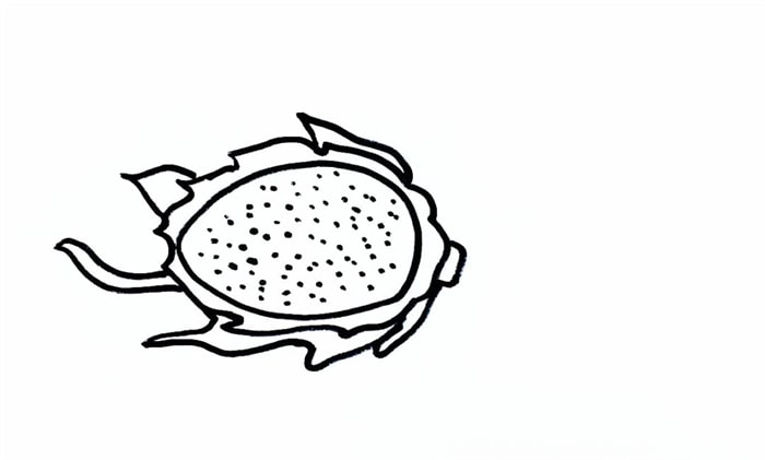 水果火龙果儿童简笔画教程图片