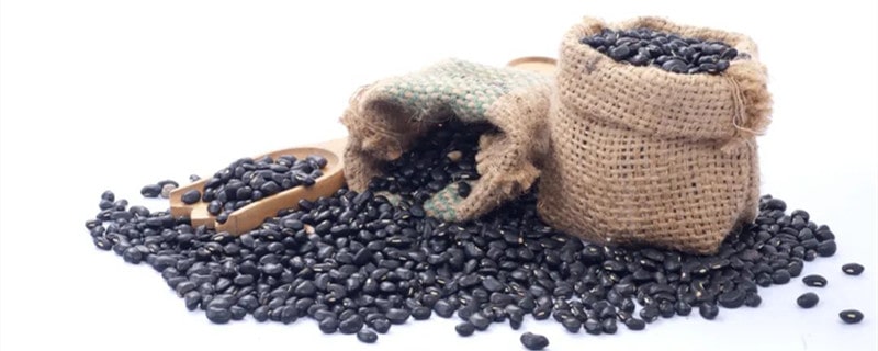 备孕需要吃什么好