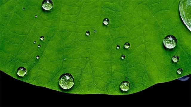 8首芒种的古诗词，每一首都很美