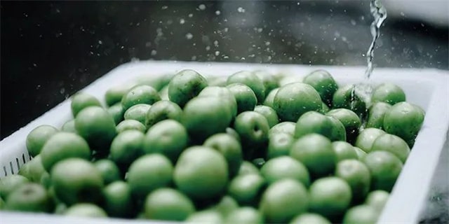 8首芒种的古诗词，每一首都很美