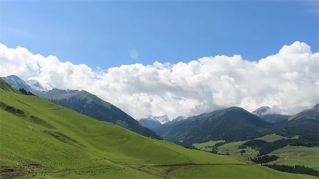 8首芒种的古诗词，每一首都很美