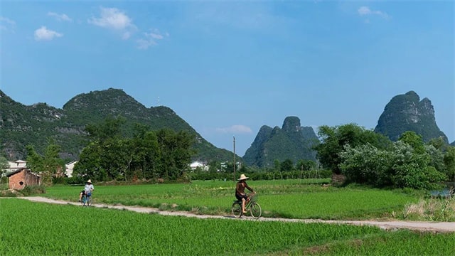 8首芒种的古诗词，每一首都很美
