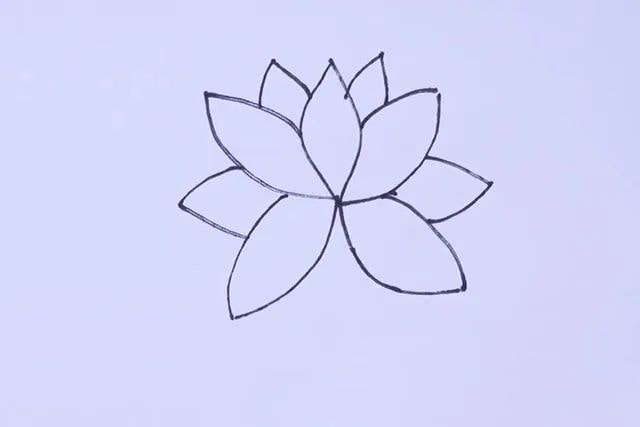 荷花简笔画图片怎么画简单