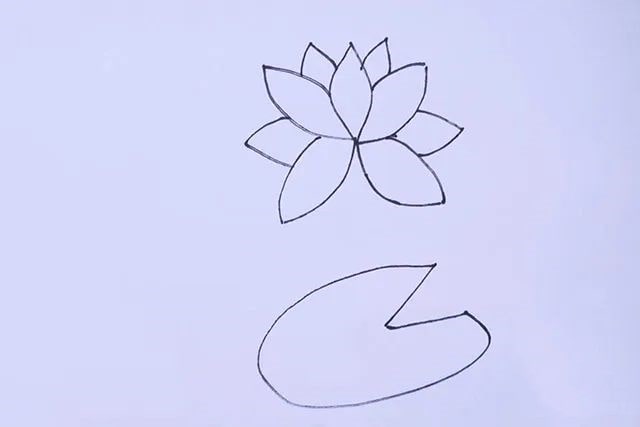 荷花简笔画图片怎么画简单