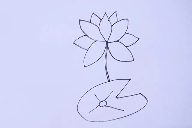 荷花简笔画图片怎么画简单