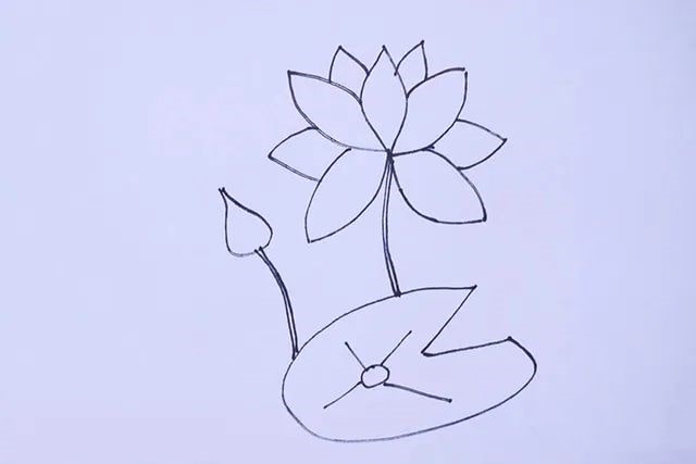 荷花简笔画图片怎么画简单