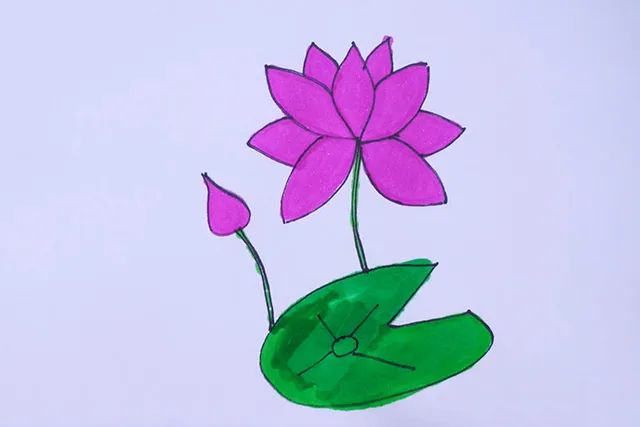 荷花简笔画图片怎么画简单