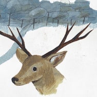 幼儿园小朋友上小学前必读的25本成长绘本