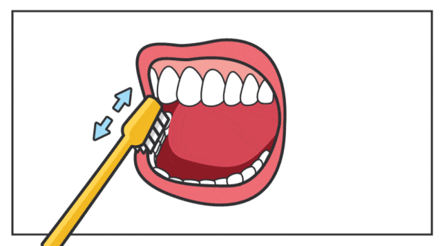 3-6岁儿童刷牙的正确方法