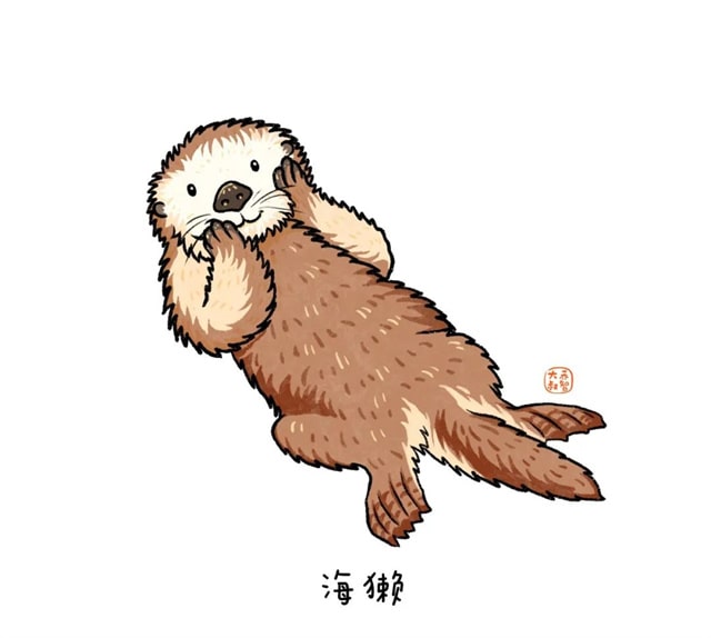 海洋生物有哪些适合给孩子讲