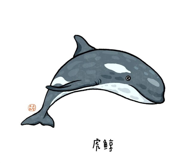 海洋生物有哪些适合给孩子讲