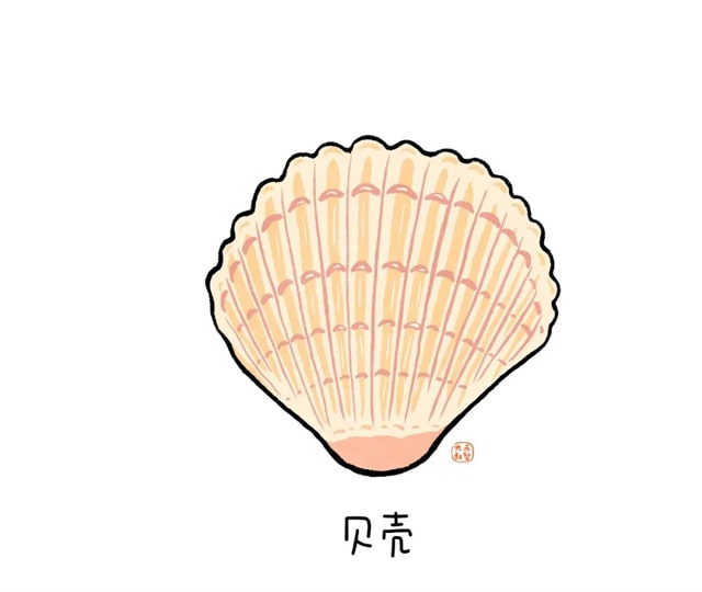 海洋生物有哪些适合给孩子讲