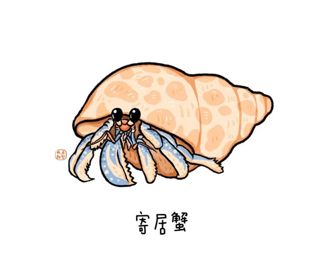 海洋生物有哪些适合给孩子讲