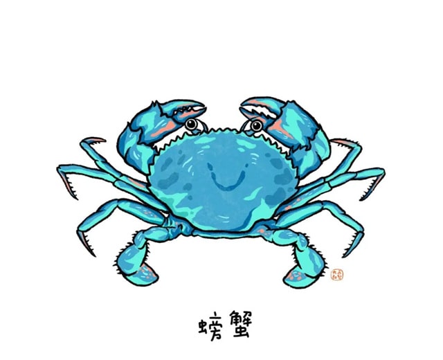 海洋生物有哪些适合给孩子讲