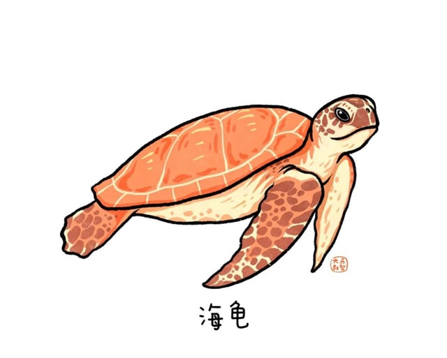 海洋生物有哪些适合给孩子讲