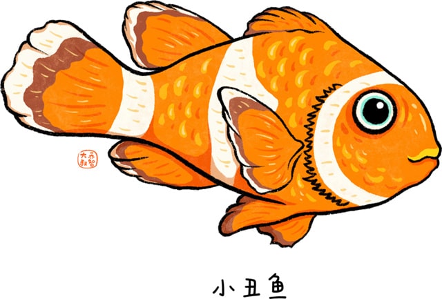 海洋生物有哪些适合给孩子讲