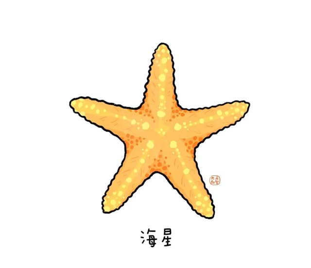 海洋生物有哪些适合给孩子讲