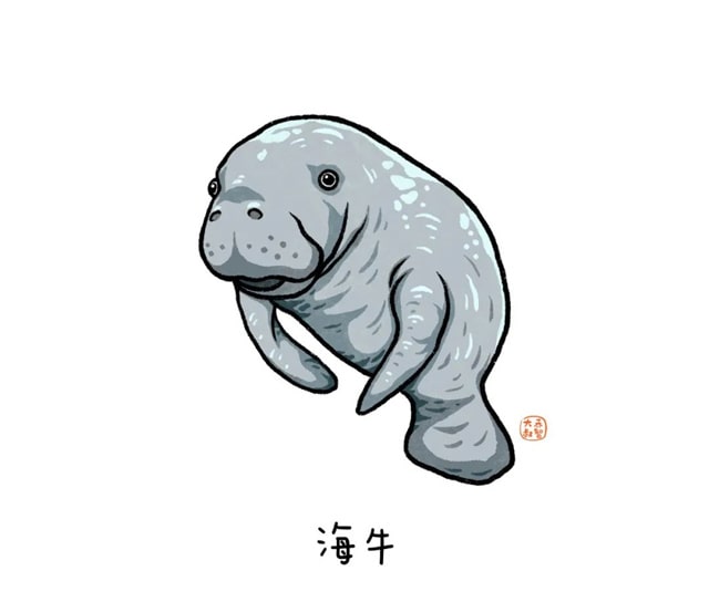 海洋生物有哪些适合给孩子讲