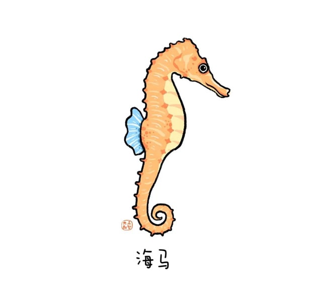 海洋生物有哪些适合给孩子讲