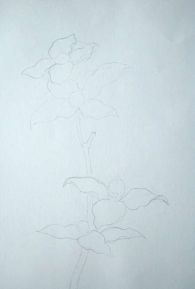 水粉画作品教程步骤《蓝色花朵》