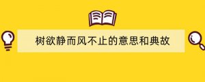 树欲静而风不止的意思和典故