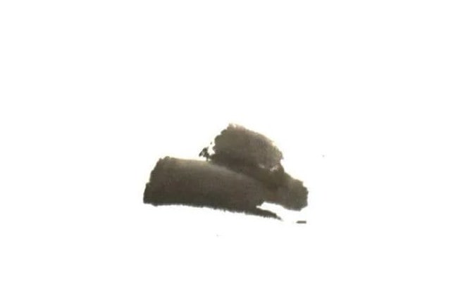 少儿写意中国画《荷花》绘画步骤