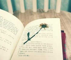 适合8-14岁孩子阅读的文史哲经典书籍