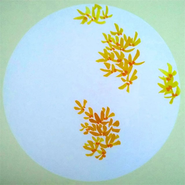 中国画入门教程《萌萌的小鸡》