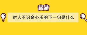 时人不识余心乐的下一句是什么