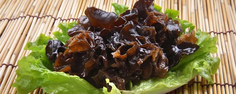 怀孕能吃黑木耳吗