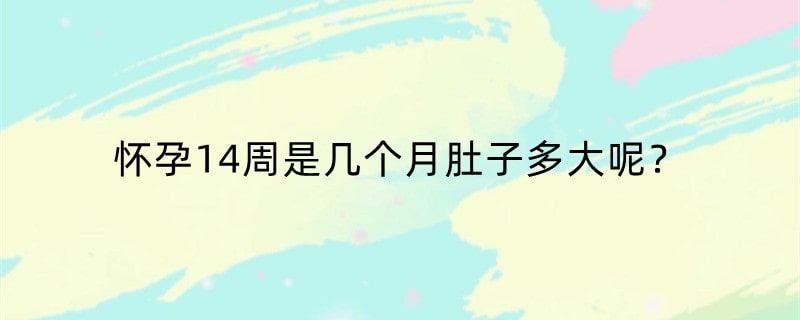怀孕14周是几个月肚子多大呢？