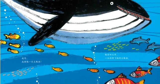 给孩子的毕业季绘本，适合幼小衔接阅读