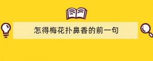 怎得梅花扑鼻香的前一句